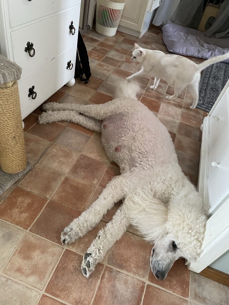 I väntans tider (både Chloe och Samana)